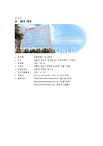 [국제경영] 오로라월드 사례조사-4