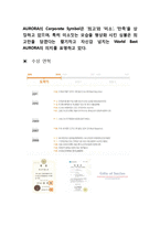 [국제경영] 오로라월드 사례조사-8