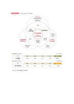 [국제경영] 오로라월드 사례조사-12