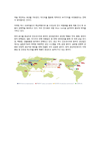 [국제경영] 오로라월드 사례조사-20