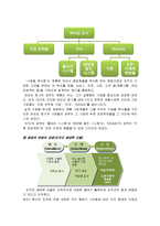 [경영조직론] 브라질의 파비오 호사 -농촌에 전기를-9