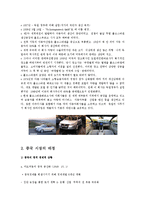 [마케팅믹스] 폭스바겐의 성공적인 중국 시장 진출 전략-5