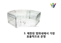 [서비스마케팅] 인간형 인터페이스-10