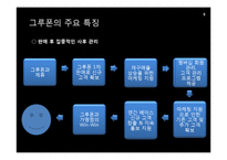 [경영학] 그루폰(GROUPON)을 통해서 본 소셜커머스 경영기법-8