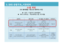 SNS 소셜 네트워크 서비스(Social Network Service)산업의 분석-18