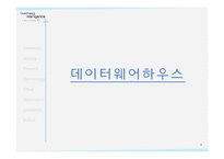 Business Intelligence 비즈니스 인텔리전스-19
