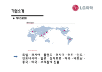 [국제경영] LG화학의 아랍에미리트 진출 전략 수립-7