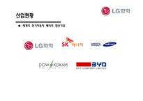 [국제경영] LG화학의 아랍에미리트 진출 전략 수립-10