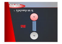 [경영학원론] 소셜커머스 Social Commerce가 현대인 경제에 미치는 영향-16