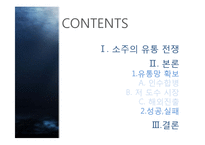 소주의 유통전쟁 -유통망 확보를 위한 전쟁과 기업간 인수합병 등 사례 분석-2