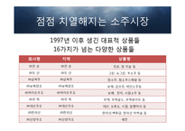 소주의 유통전쟁 -유통망 확보를 위한 전쟁과 기업간 인수합병 등 사례 분석-5