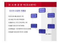 CJ 제일제당 간식 마케팅전략-11