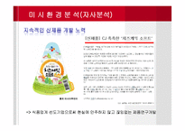 CJ 제일제당 간식 마케팅전략-12