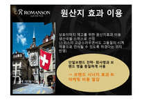 [국제경영] 로만손의 해외 진출 전략-15
