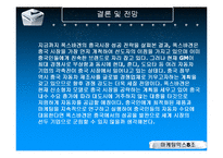 [마케팅믹스] 폭스바겐의 성공적인 중국 시장 진출 전략-19