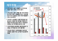 [국제경영전략] 제주항공 기업 전략 분석-5