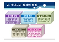 [유통환경론] 카테고리 킬러-4