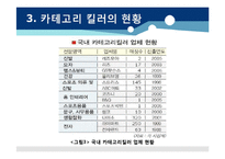 [유통환경론] 카테고리 킬러-8