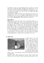 [독일음식문화] 독일 발효 음식-15