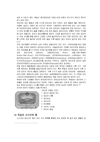 [독일음식문화] 독일 발효 음식-16