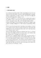 [국제정치사] 세계 1차 대전-4
