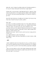[국제정치사] 세계 1차 대전-9