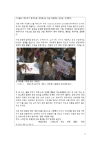 [통일경제론] 북한의 시장화 현황과 전망 -한국 대중음악이 북한 개방화에 미치는 영향-11
