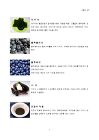 [식품과 과학] 컬러푸드 Color Food(그린푸드, 블랙푸드)-8