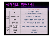 빛공해 실태&국제동향-11
