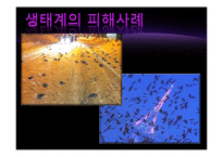 빛공해 실태&국제동향-12