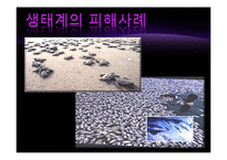 빛공해 실태&국제동향-13