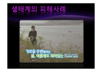 빛공해 실태&국제동향-14