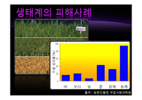 빛공해 실태&국제동향-15