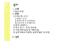 지역사회복지 증진을 위한 청소년범죄 감소 계획-2