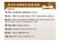 [국제정치사] 세계 1차 대전-10