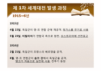 [국제정치사] 세계 1차 대전-11