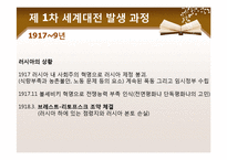 [국제정치사] 세계 1차 대전-14