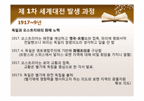 [국제정치사] 세계 1차 대전-15