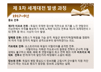 [국제정치사] 세계 1차 대전-17