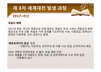 [국제정치사] 세계 1차 대전-18