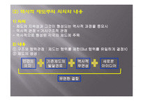 한국의 인사행정제도-4