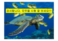 [국제정치] 조어도, 센카쿠제도 분쟁과 그 의미-19