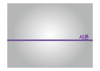 [중동외교사] 이라크 전쟁 이후의 이라크 정치와 사회-3