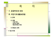 공공부조, 국민기초생활보장법-2