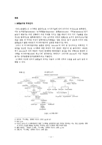 수사학의 표현 레포트-3