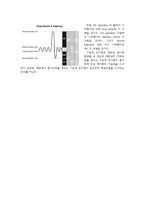 생리학실험(호흡기)-4