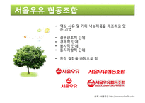 [식품가공학] 서울 우유(치즈)-7