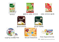 [식품가공학] 서울 우유(치즈)-19