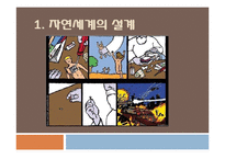 다윈 혁명 레포트-3