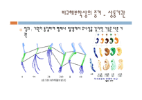 다윈 혁명 레포트-8